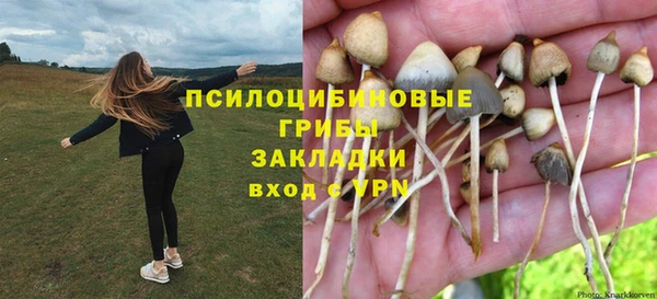 2c-b Кукмор