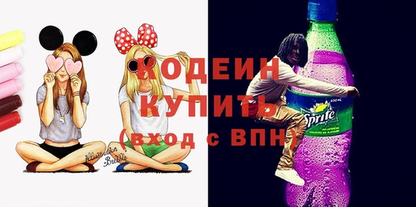 соль ск Лагань