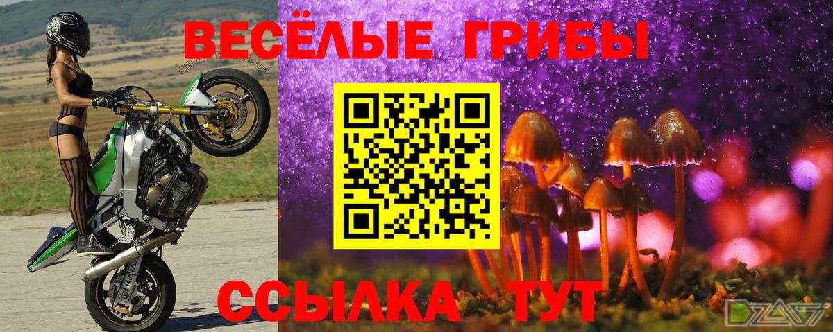 Галлюциногенные грибы прущие грибы  Вход с VPN  Ярцево 